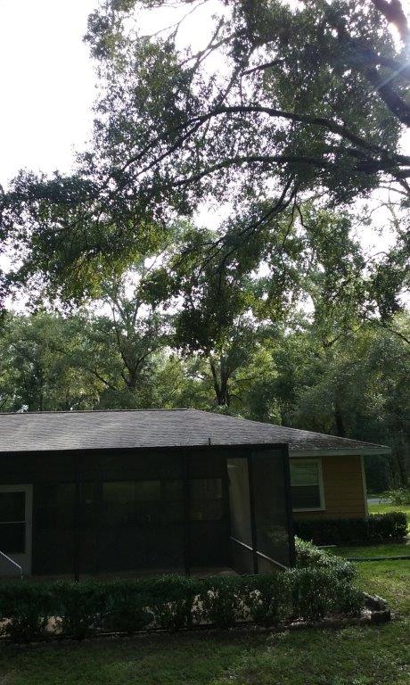 13 Trees Hanging Over Home Before